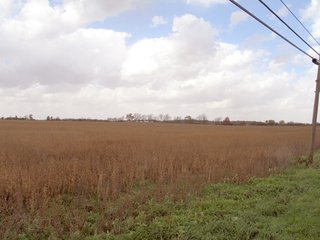 Property photo 10 - 97 +/- Acres Tillable Land Auction